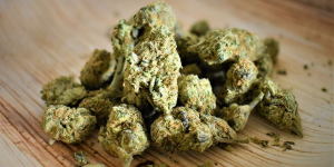 Discover Quality and Reliability in Online Weed Dispensaries in Canada