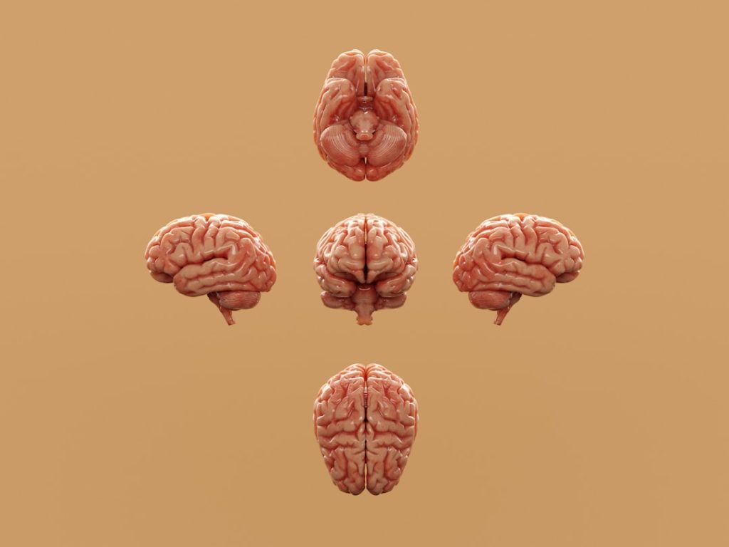 Dr. Timothy Francis on Connecting Structural, Chemical, and Emotional Wellness