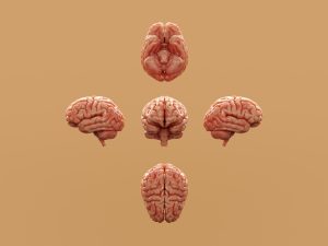 Dr. Timothy Francis on Connecting Structural, Chemical, and Emotional Wellness