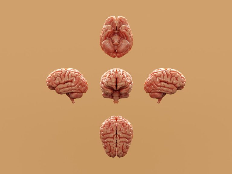 Dr. Timothy Francis on Connecting Structural, Chemical, and Emotional Wellness