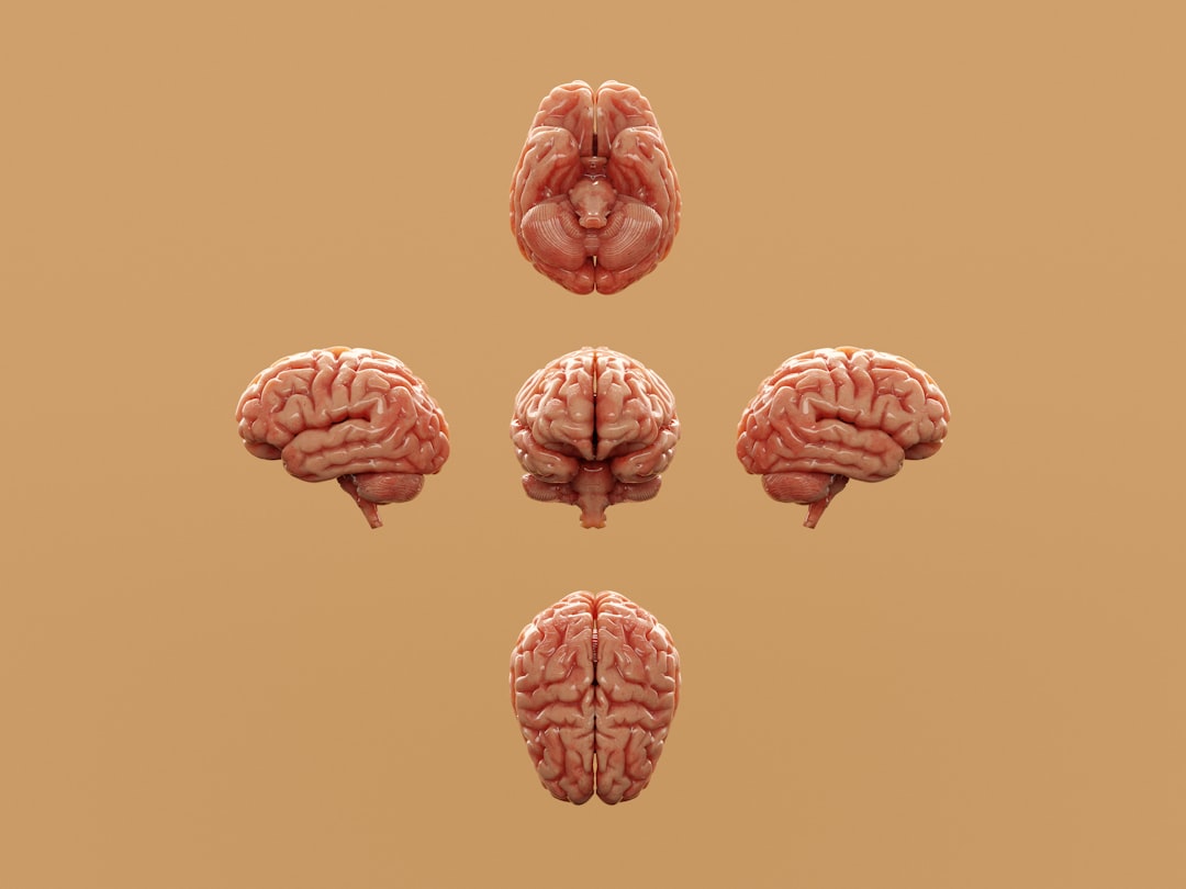 rendered brains displayed on a beige background