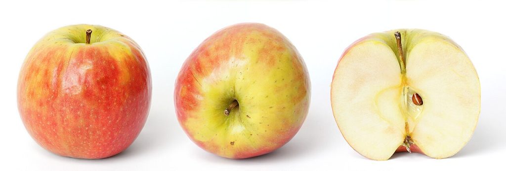 Child Safety Features: Apple’s Proven New Device Enhancements