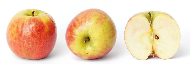 Child Safety Features: Apple’s Proven New Device Enhancements