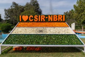 CSIR NEERI Recruitment: Easy Steps to Apply for 13 Positions