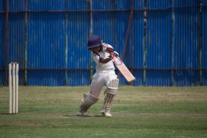 Don Bradman Cricket Jr: Is It the Best Game Ever?