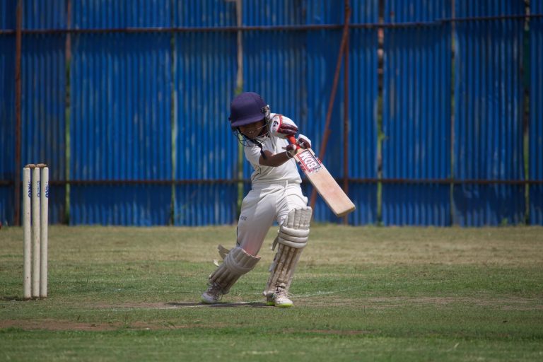 Don Bradman Cricket Jr: Is It the Best Game Ever?