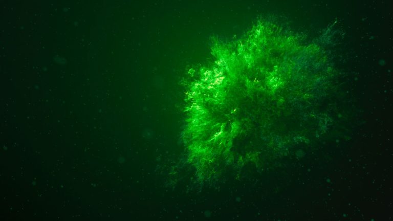 Mysterious burst of energy: What is the real explanation?